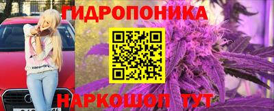 метадон Новозыбков