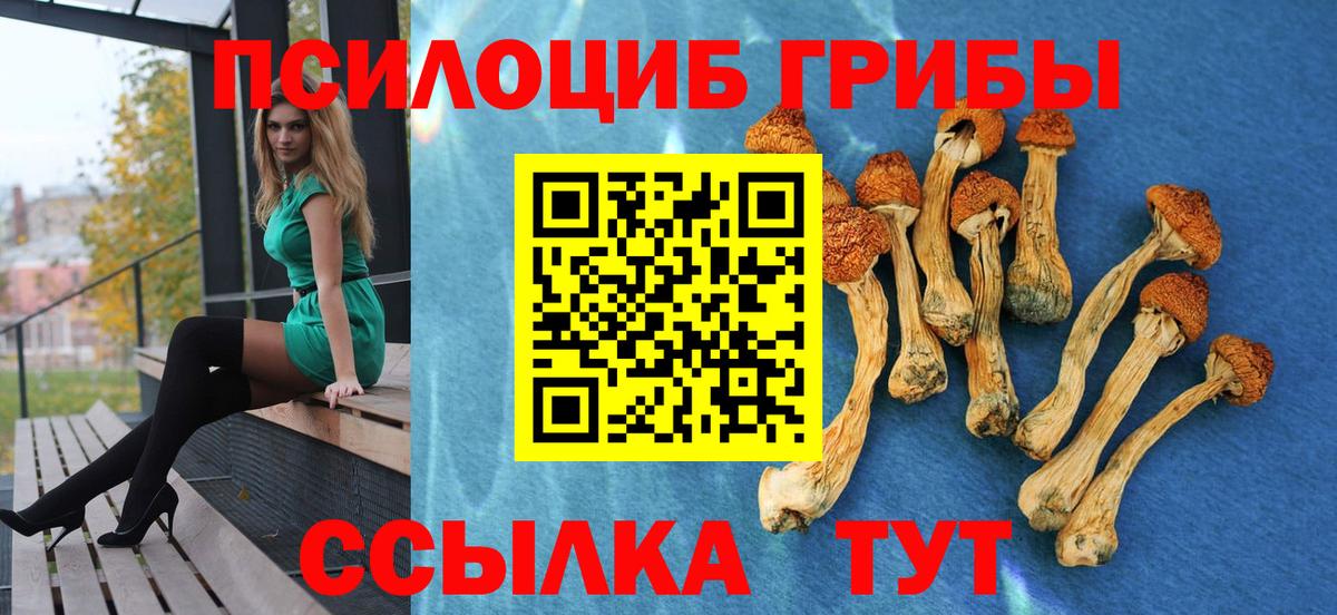 Славянск-на-Кубани  Галлюциногенные грибы Magic Shrooms  Вход с VPN 